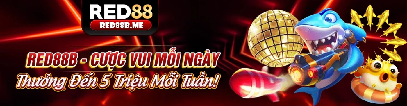 Tài liệu chính sách quyền riêng tư và tuân thủ quy định của m88sut