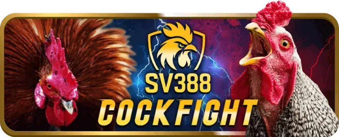 Cách duy trì cấp độ VIP tại m88sut